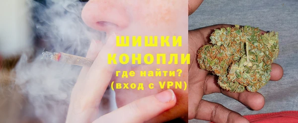 крисы Богородск