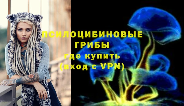 стаф Беломорск