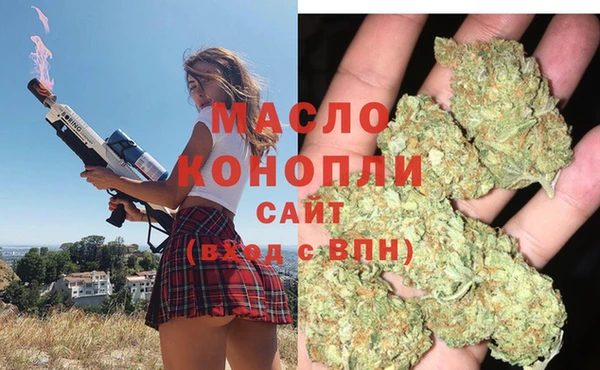 сатива Балахна