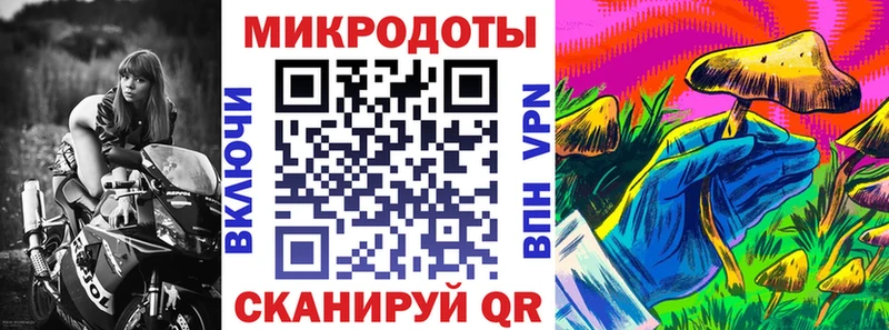 гидра онион  Каменка  Галлюциногенные грибы MAGIC MUSHROOMS 